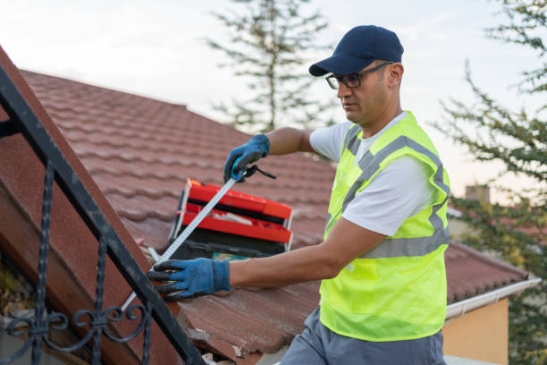 Best Blown-In Insulation  in Hollymead, VA